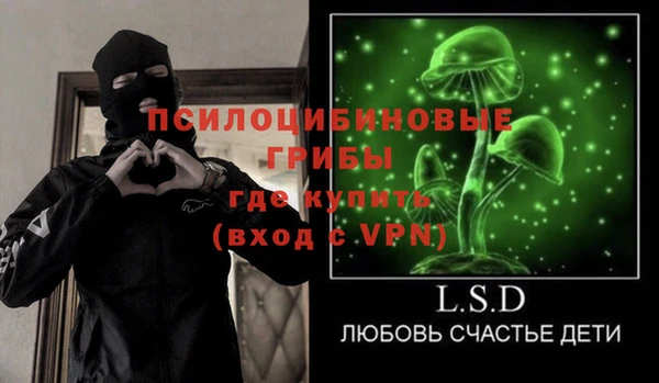 ALPHA PVP Богородицк