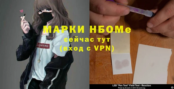 ALPHA PVP Богородицк