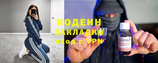 эйфоретик Богданович