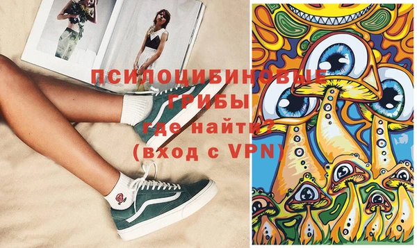 эйфоретик Богданович