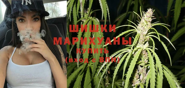 эйфоретик Богданович