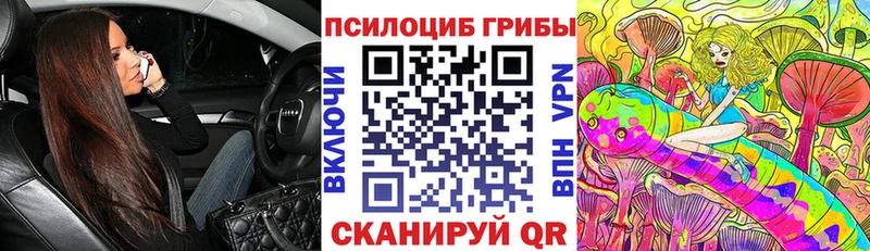 как найти закладки  блэк спрут ONION  Галлюциногенные грибы Cubensis  Новороссийск 